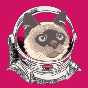 Illustration d'un chat dans une tenue d'astronaute